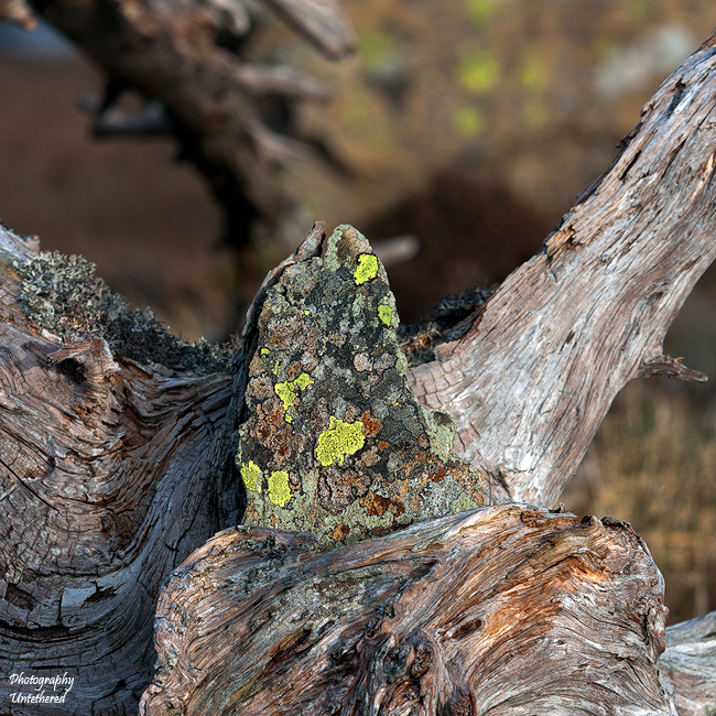 Handheld Landscape Photography
