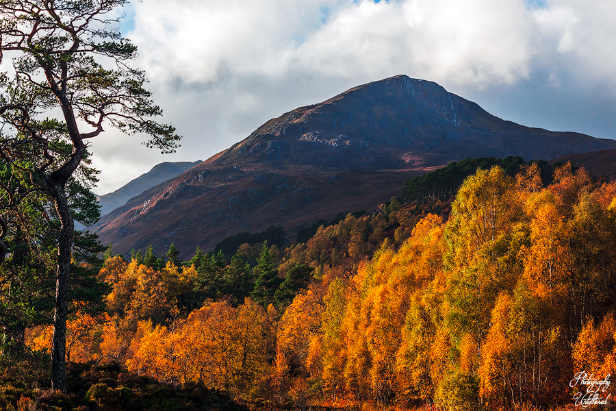 Sgùrr na Lapaich mountain landscape with a peak under a cloudy sky. Foreground features lush autumn trees in vibrant orange and yellow, evoking a serene, vibrant mood.
