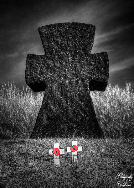 Black and white image of a large, dark stone cross in a field. Two small white crosses with red poppies are placed in front, conveying a somber, memorial tone. Langemark German war cemetery.