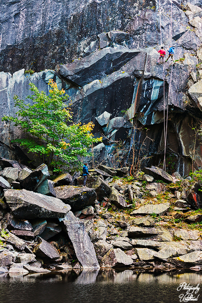 Two climbers ascend a steep, jagged rock face, secured by ropes. A leafy tree and scattered boulders contrast against the rugged cliff. Reflective water below. Hodge Close Quarry. Leo Houlding. Lake District Photography.
