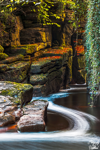 A tranquil stream with smooth, curved water flows between moss-covered rocks and a cliff, surrounded by lush green foliage and soft, dappled light. Autumn Stenkrith Park Kirkby Stephen.