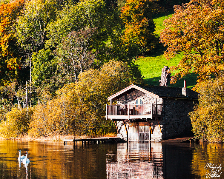 A serene Ullswater scene featuring the rustic Duke of Portland boathouse surrounded by vibrant autumn foliage. Two white swans glide peacefully on the shimmering water. Lake District Photography.
