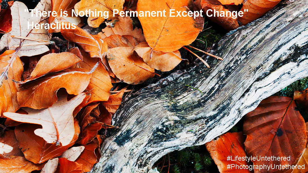 Colorful autumn leaves in shades of orange and brown cover the ground beside a textured, weathered tree branch, capturing a rustic fall scene. A quote reads: "There is nothing permanent except change" Heraclitus