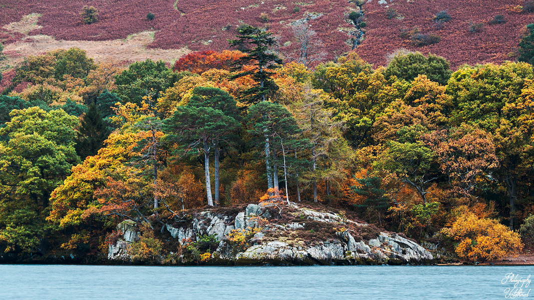 A cluster of vibrant autumn trees, in shades of green, orange, and yellow, grows on a rocky lakeside. A backdrop of rolling hills completes the tranquil scene. Kailpot Crag Ullswater. Lake District Photography.