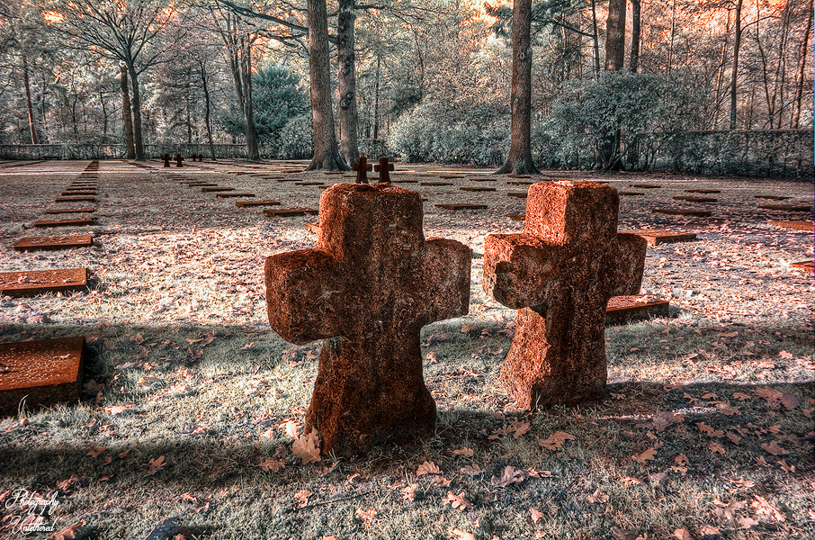 Autumnal scene of a cemetery with two stone cross headstones in the foreground, surrounded by fallen leaves. Trees and more graves are visible in the background. Vladslo German Military Cemetery.
