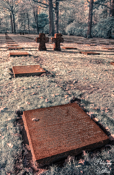 A serene cemetery scene with rows of flat, rust-colored tombstones and crosses surrounded by trees in soft autumn light, conveying a peaceful, solemn atmosphere. Vladslo German Military Cemetery.