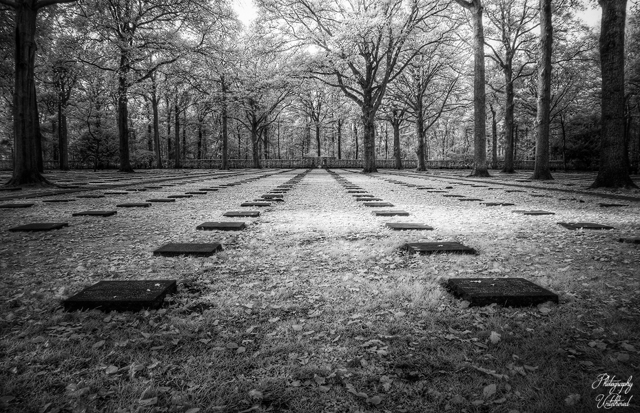 Black and white cemetery with uniform, low headstones in straight rows, surrounded by tall trees. The image conveys a solemn, peaceful atmosphere. Vladslo German Military Cemetery.
